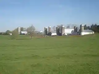 Four Locust Farm