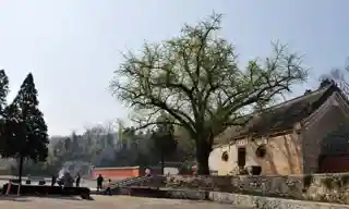 Xiangyan Temple
