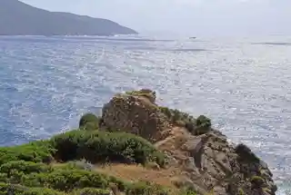 Tower of Pelusella