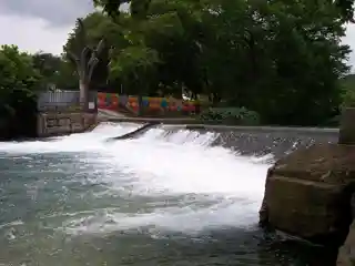 Rio Vista Dam