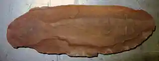 Mazon Creek Fossil Beds