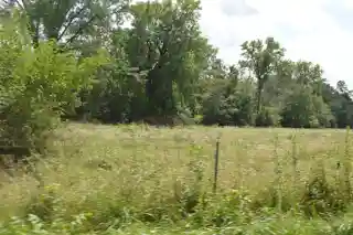 John Roy Site