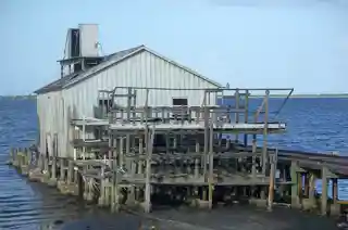 Archie Smith Wholesale Fish Company