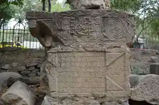 Setifis
