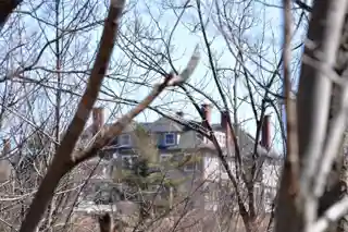 Knollwood