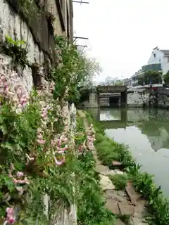 Zhongxin Bridge