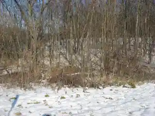 Brooke Site