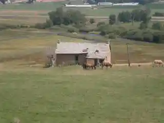 Annie Birch House