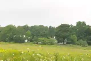 Sproul Homestead