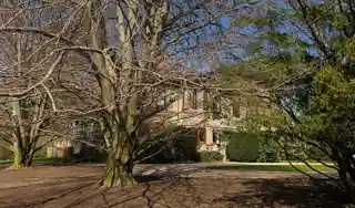 Elm Court