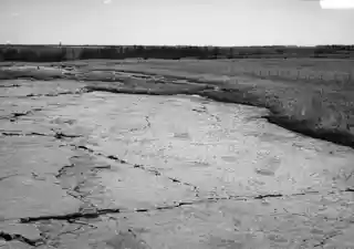 Jeffers Petroglyphs Site