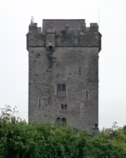 Ballyhannon Castle