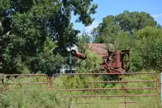 Rich Neck Farm