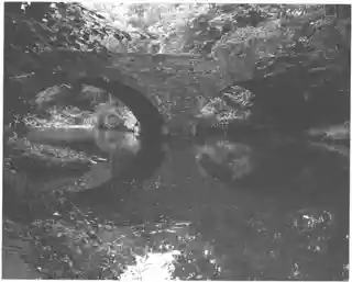 Bridge in Lykens Township No. 1