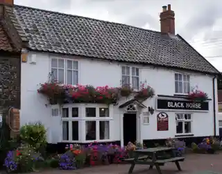 Black Horse