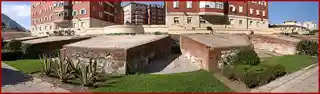 Devil's Tongue Battery