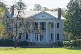 Lydia Plantation