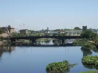 Pueyrredón Bridge