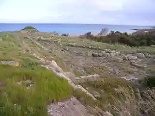 Helorus