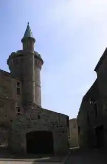 Château de Virieu