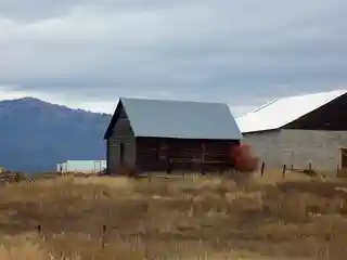 Laituri, Gust, Homestead