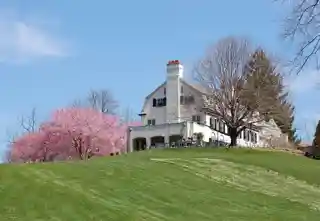 Chanticleer