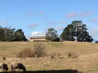 Throsby Park
