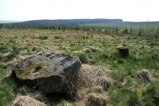 Whitcastles Stone Circle