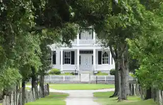 The Oaks