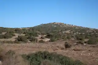 Tell ej-Judeideh