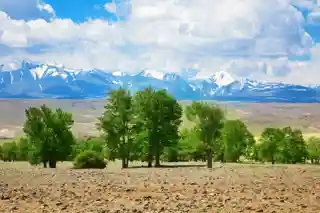 Golden Mountains of Altai