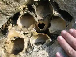 Geosite Travertino della Cava Cappuccini