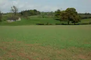 Castell Arnallt