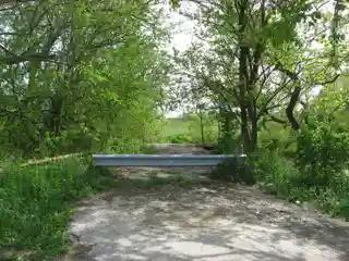 Reed Bridge