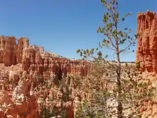 Under-the-Rim Trail