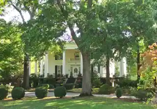 Wilkins House