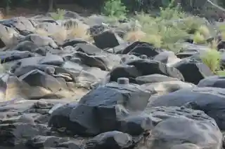 Sahastralinga