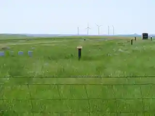 Fort Dilts