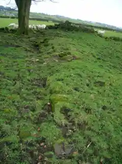 Hill of Beith Castle
