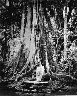 Kawali