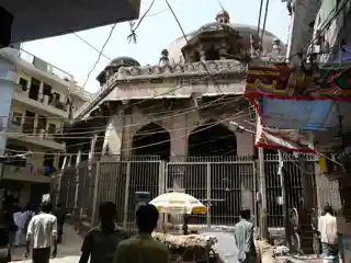 Kotla Mubarakpur