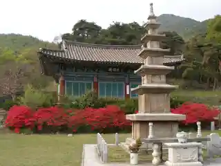 Sinwonsa