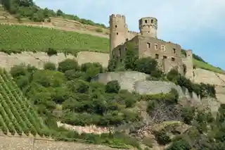 Ehrenfels Castle