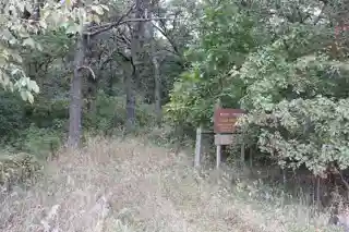 Pilot Grove