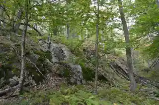 Cliff Kill Site