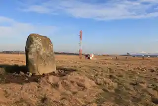 The Cat Stane