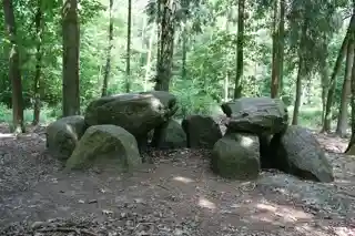 Megalithic tombs in Haldensleben Forest