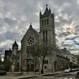 The Cathedral of the Immaculate Conception