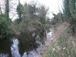 Stratton Park Moated Enclosure