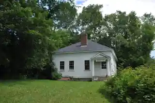 Root School